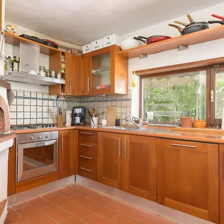Cuculo By Interhome Scansano